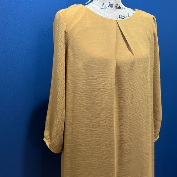 Mustard H&M Shift Dress size 8 BNWT - Picture 2 of 6